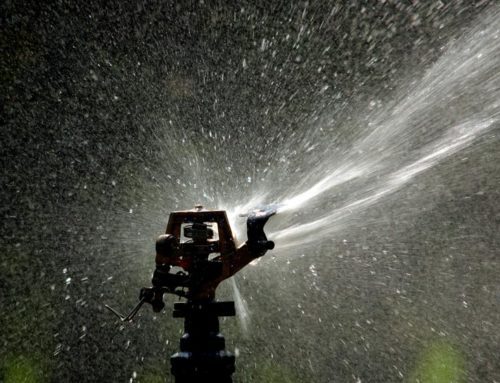 The 5 Best Sprinklers for Large Yards