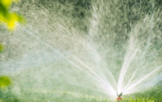 the best time to water lawn in hot weather